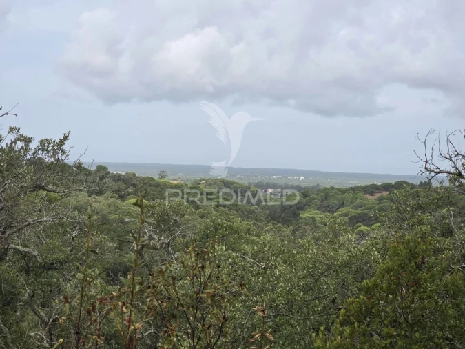 Terreno para Venda em Melides Foto 2
