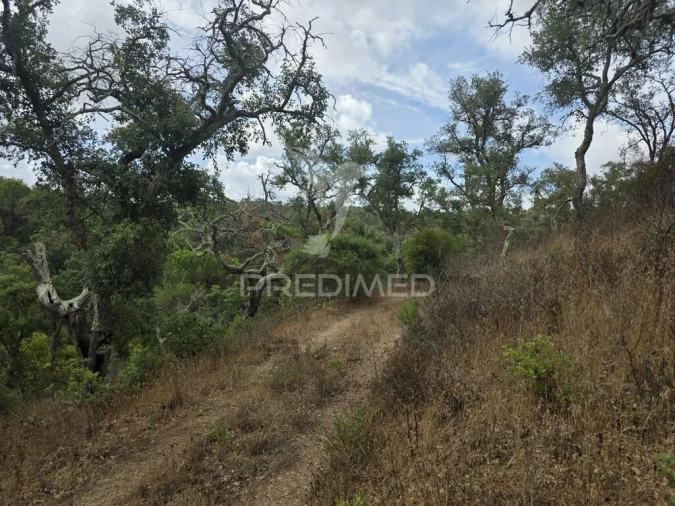 Terreno para Venda em Melides Foto 13