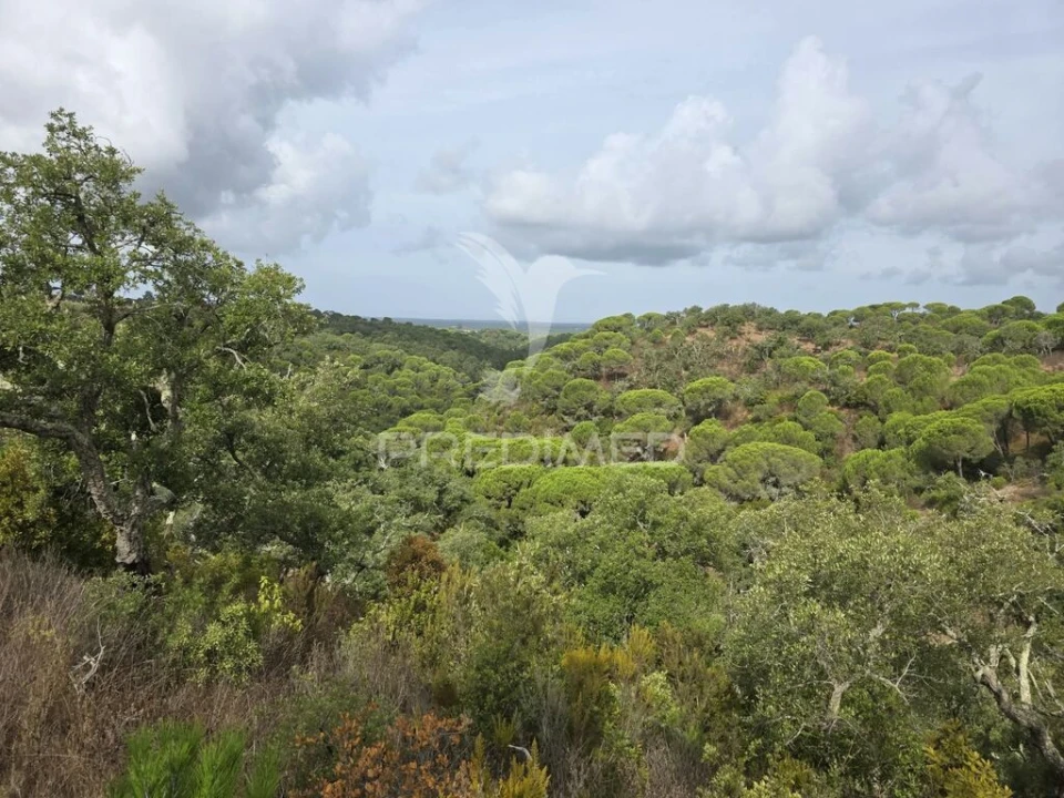 Terreno para Venda em Melides Foto 1