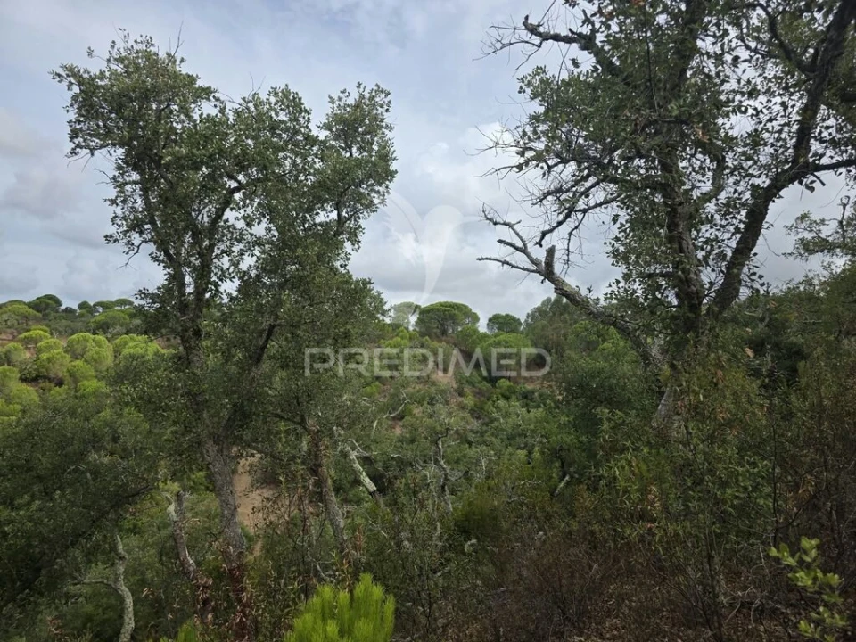 Terreno para Venda em Melides Foto 5