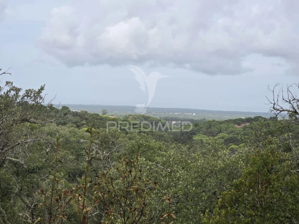 Terreno para Venda em Melides Foto 2
