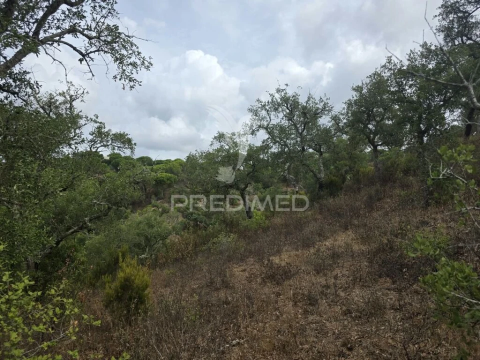 Terreno para Venda em Melides Foto 6