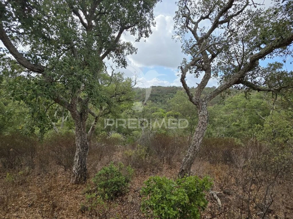 Terreno para Venda em Melides Foto 16