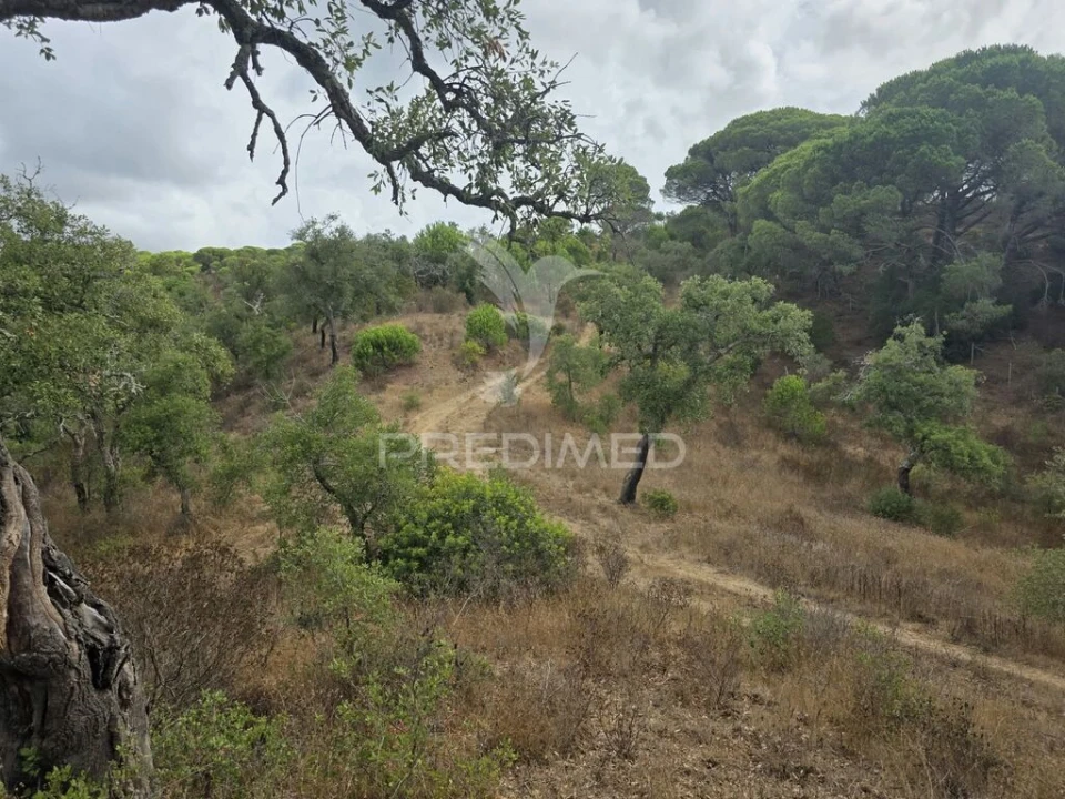 Terreno para Venda em Melides Foto 14