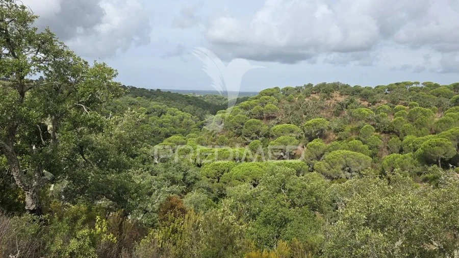 Terreno para Venda em Melides
