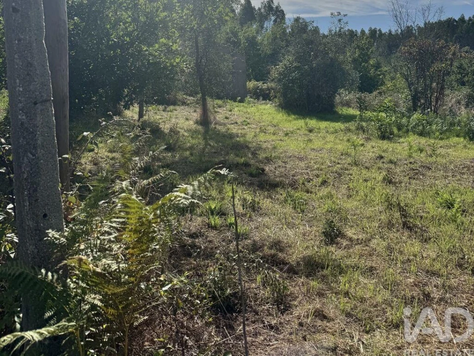 Moradia para Venda em Graça Foto 8