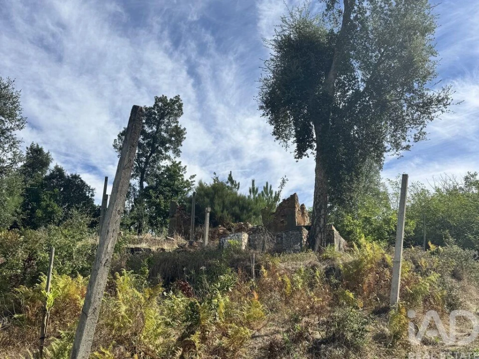 Moradia para Venda em Graça Foto 9