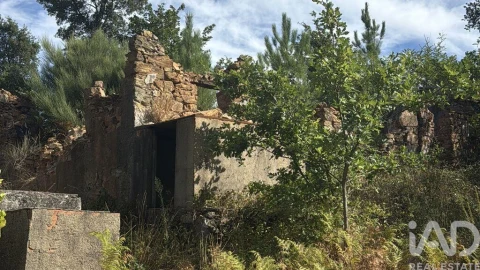 Moradia para Venda em Graça