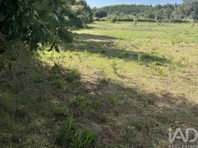 Moradia para Venda em Graça Foto 5