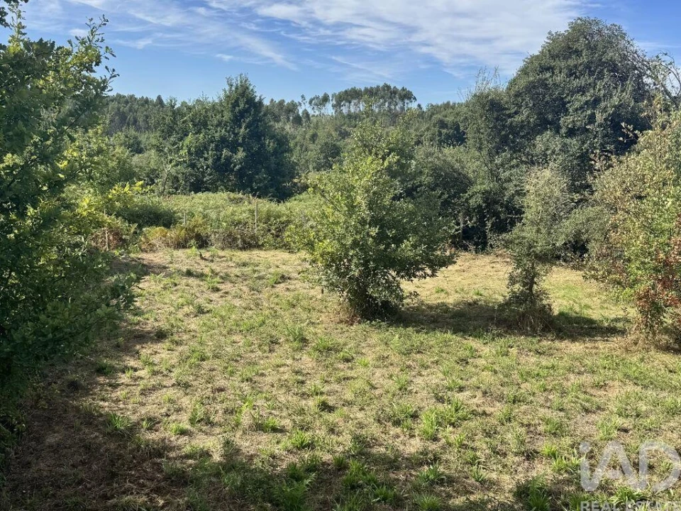 Moradia para Venda em Graça Foto 10