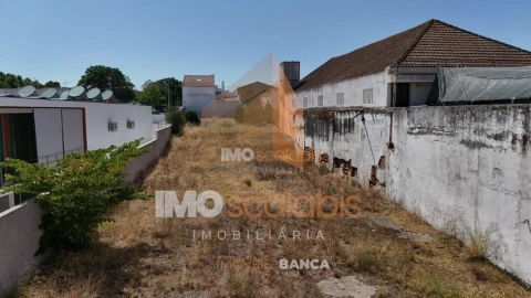 Terreno para Venda em Alpiarça