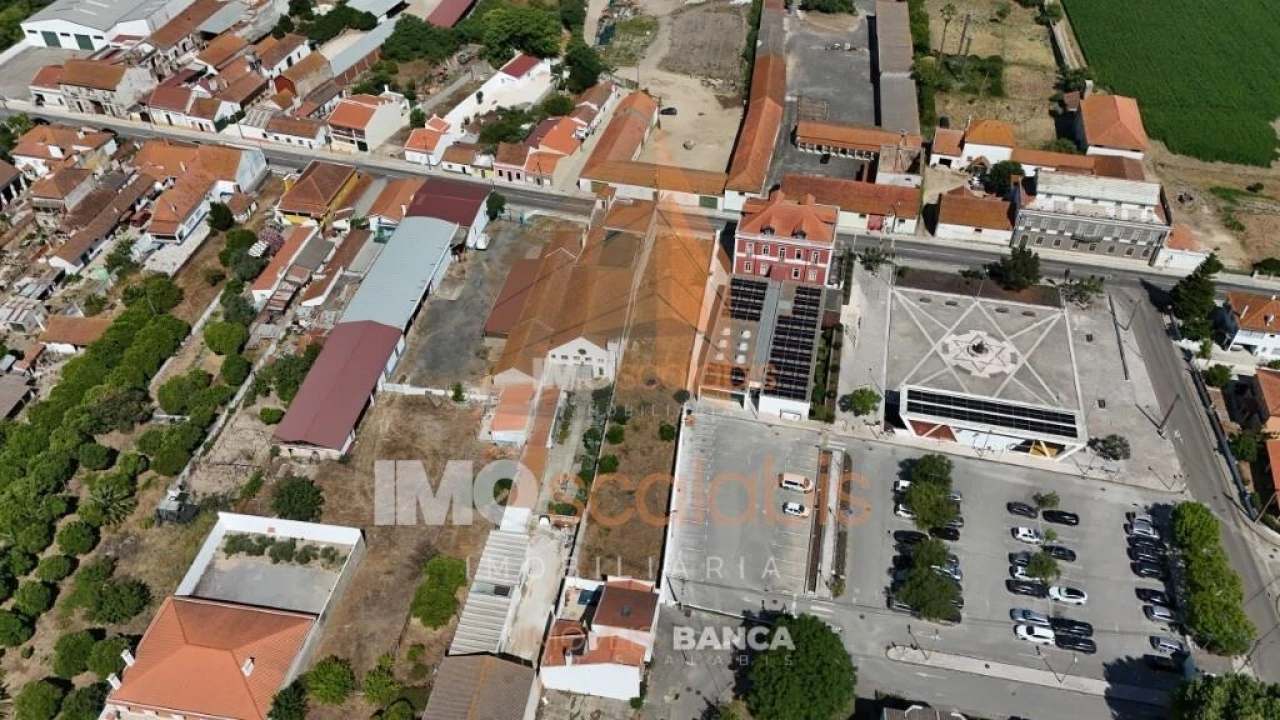 Terreno para Venda em Alpiarça Foto 4