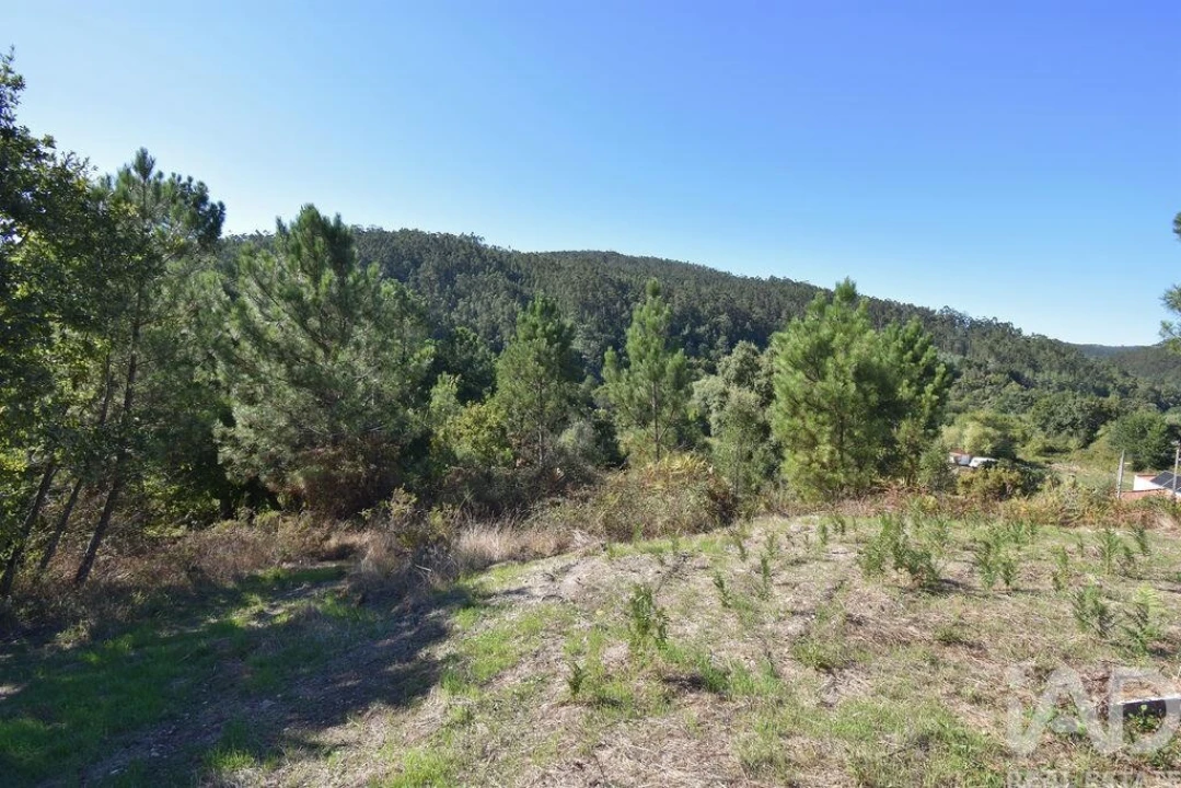 Terreno para Venda em São Miguel, Santa Eufémia e Rabaçal Foto 26