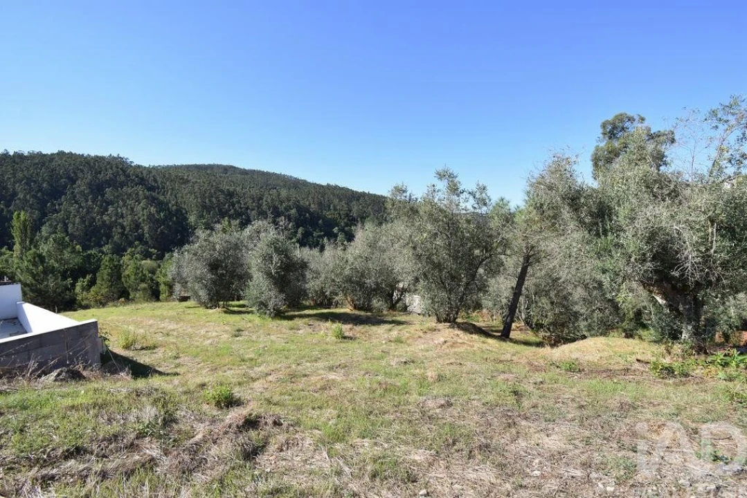 Terreno para Venda em São Miguel, Santa Eufémia e Rabaçal Foto 18