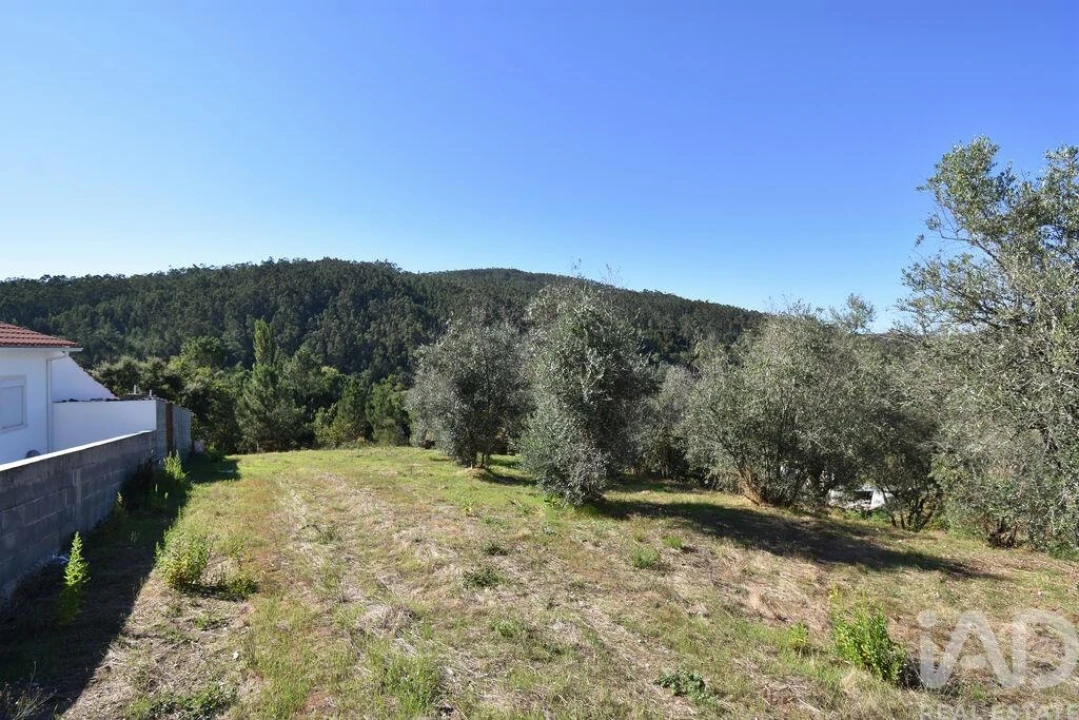 Terreno para Venda em São Miguel, Santa Eufémia e Rabaçal Foto 19