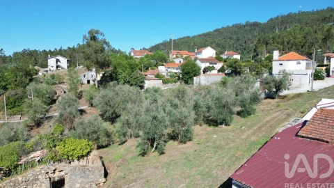 Terreno para Venda em São Miguel, Santa Eufémia e Rabaçal