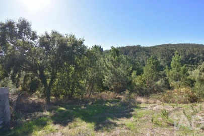 Terreno para Venda em São Miguel, Santa Eufémia e Rabaçal