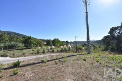 Terreno para Venda em São Miguel, Santa Eufémia e Rabaçal