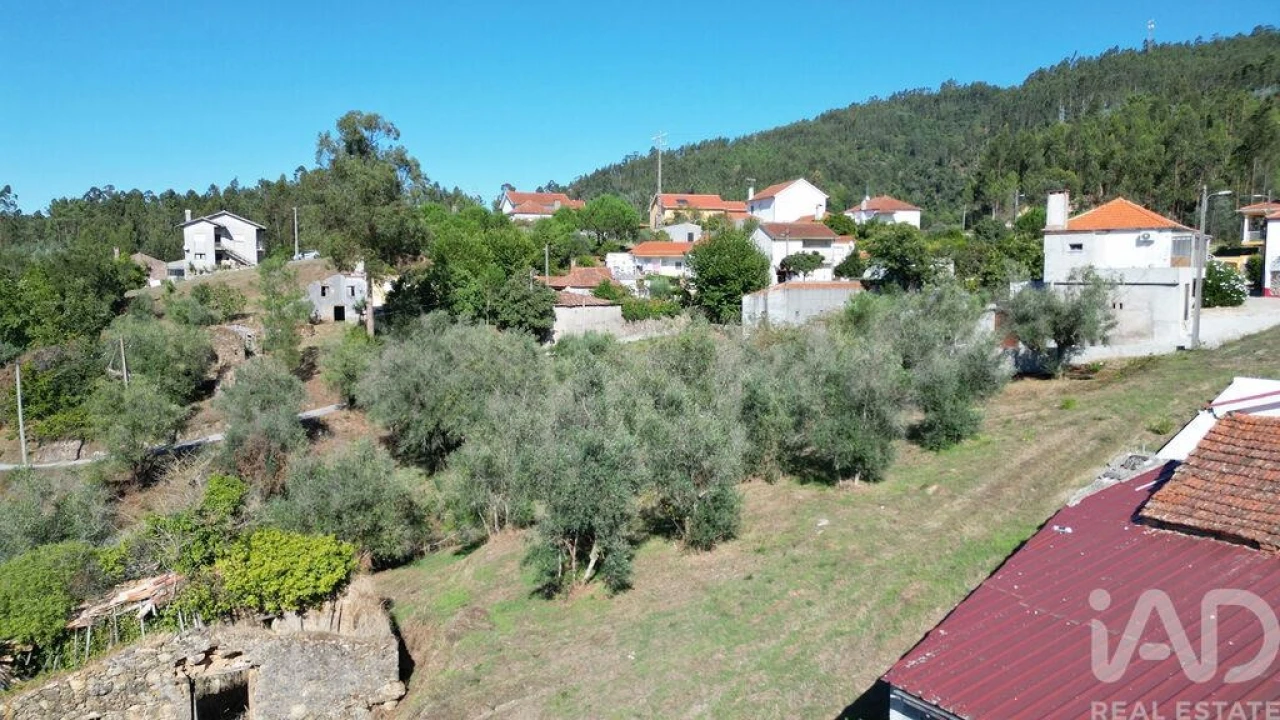 Terreno para Venda em São Miguel, Santa Eufémia e Rabaçal Foto 11