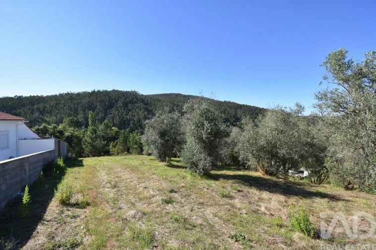 Terreno para Venda em São Miguel, Santa Eufémia e Rabaçal Foto 19