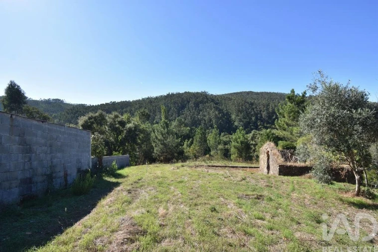 Terreno para Venda em São Miguel, Santa Eufémia e Rabaçal Foto 22