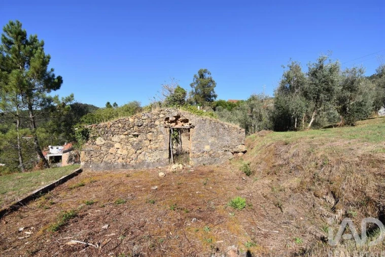 Terreno para Venda em São Miguel, Santa Eufémia e Rabaçal Foto 25