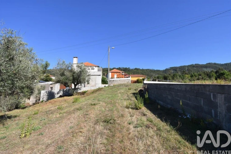 Terreno para Venda em São Miguel, Santa Eufémia e Rabaçal Foto 20
