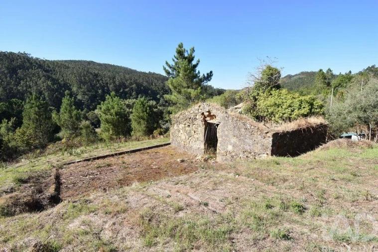 Terreno para Venda em São Miguel, Santa Eufémia e Rabaçal Foto 23