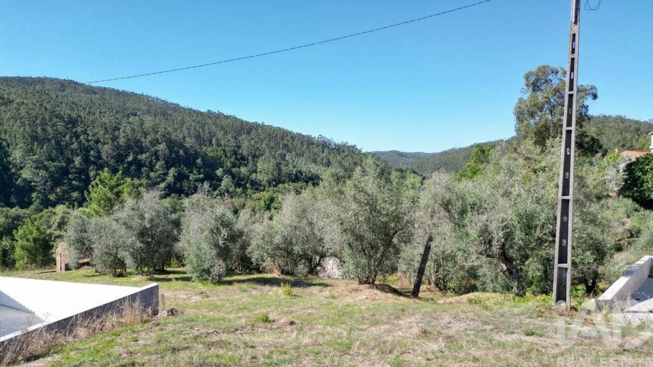 Terreno para Venda em São Miguel, Santa Eufémia e Rabaçal Foto 10