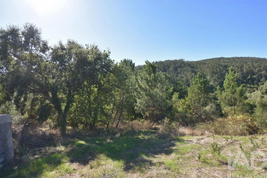 Terreno para Venda em São Miguel, Santa Eufémia e Rabaçal Foto 24