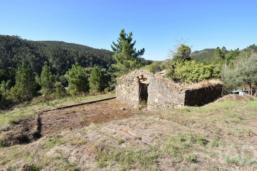 Terreno para Venda em São Miguel, Santa Eufémia e Rabaçal Foto 23