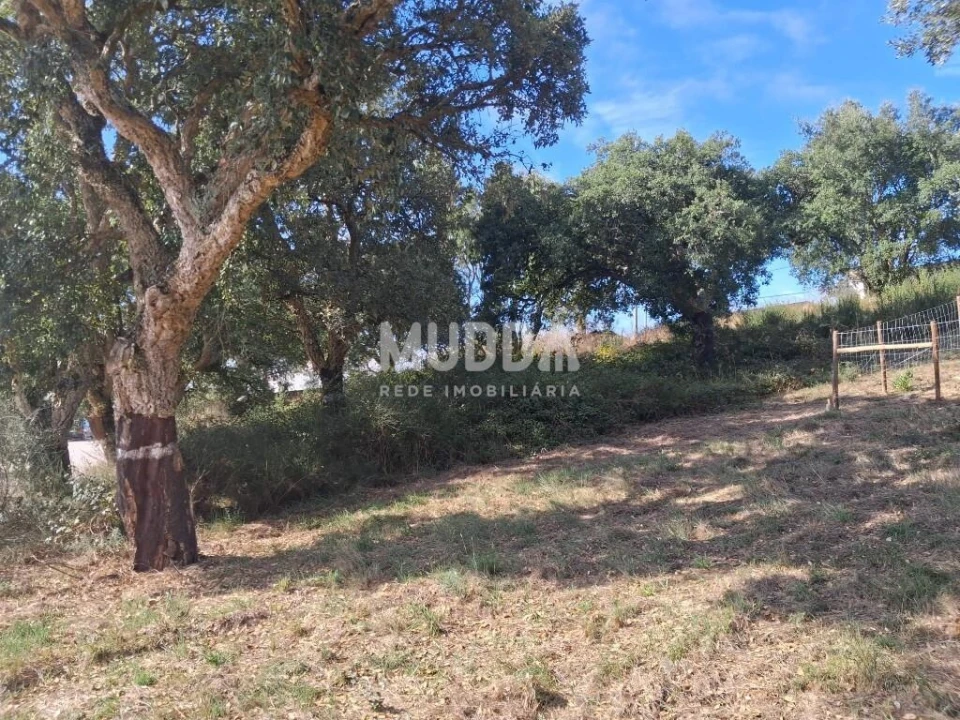 Terreno para Venda em A dos Negros Foto 2