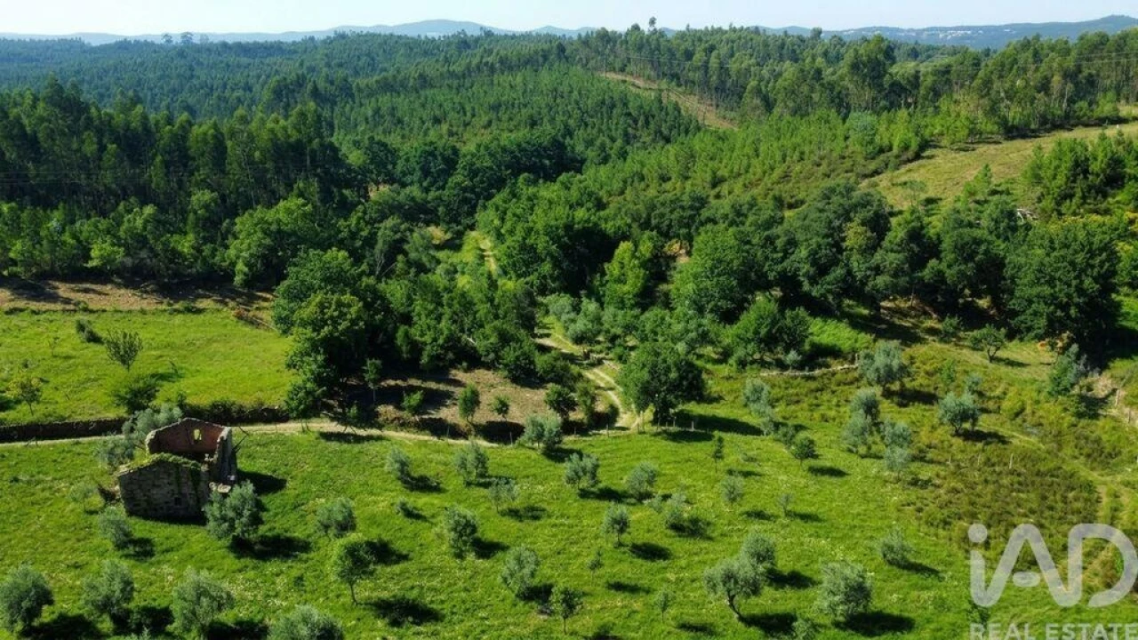 Quinta para Venda em Graça Foto 1
