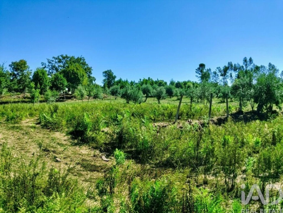 Quinta para Venda em Graça Foto 23