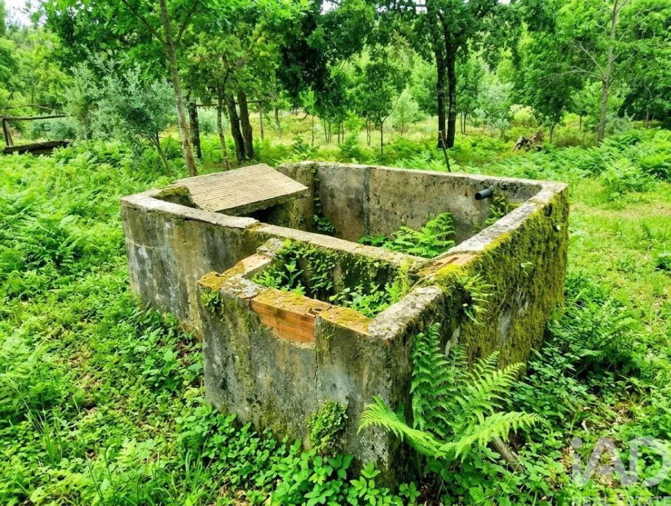 Quinta para Venda em Graça Foto 12