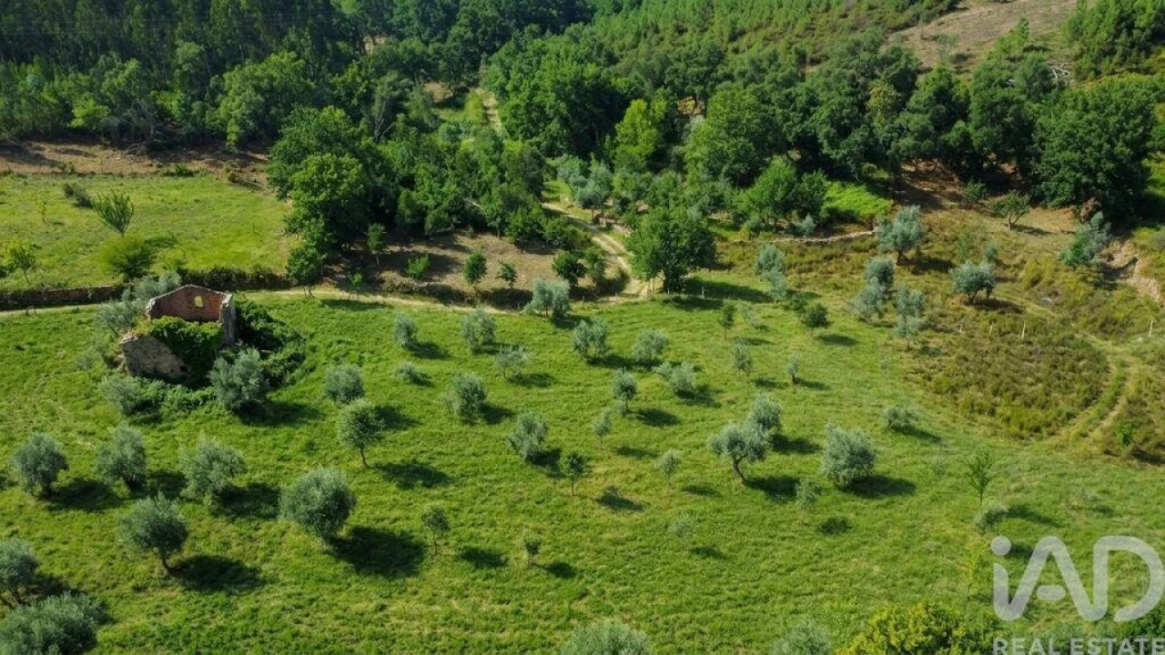 Quinta para Venda em Graça Foto 2