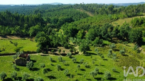 Quinta para Venda em Graça