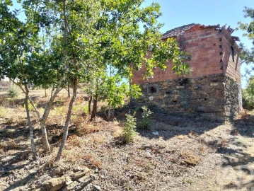 Quinta para Venda em Graça