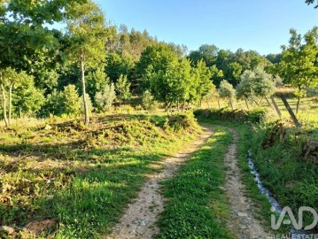 Quinta para Venda em Graça