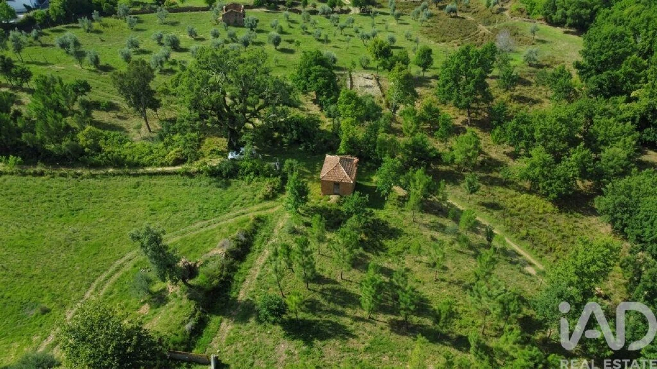 Quinta para Venda em Graça Foto 30