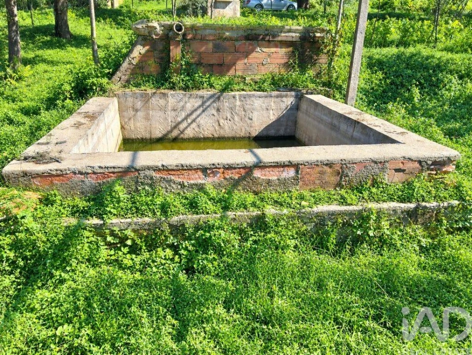Quinta para Venda em Graça Foto 13
