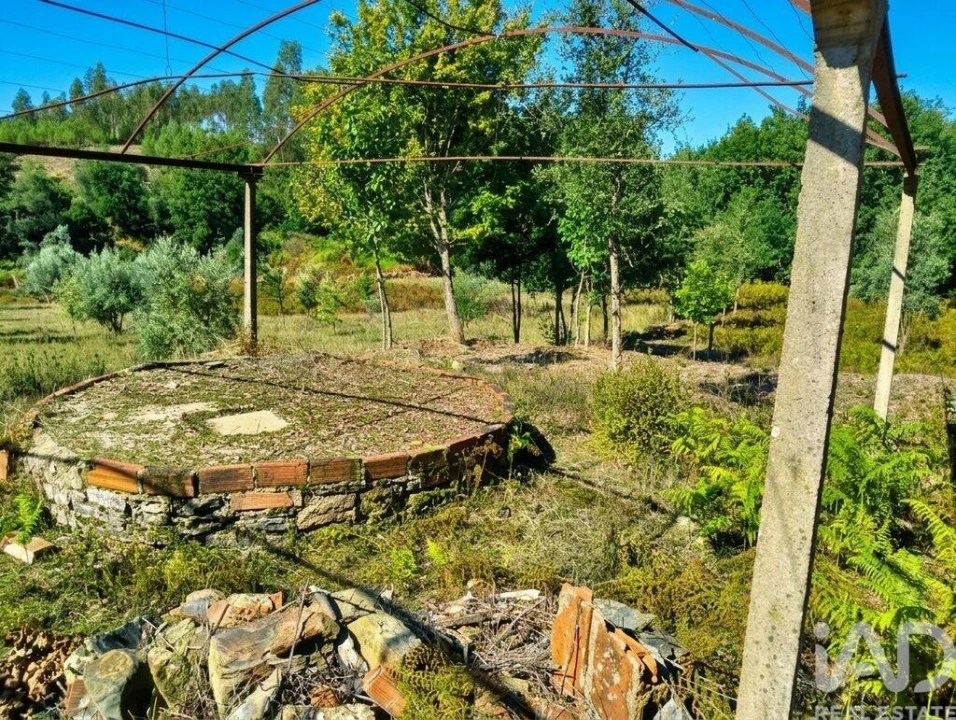 Quinta para Venda em Graça Foto 10