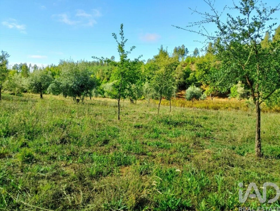 Quinta para Venda em Graça Foto 19