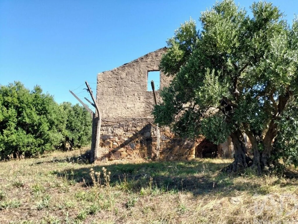 Quinta para Venda em Graça Foto 7