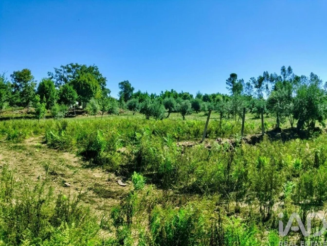 Quinta para Venda em Graça Foto 23