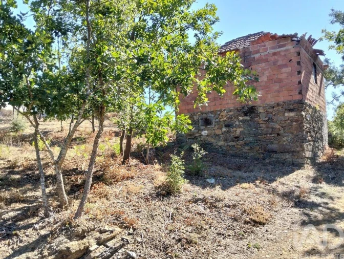 Quinta para Venda em Graça Foto 4