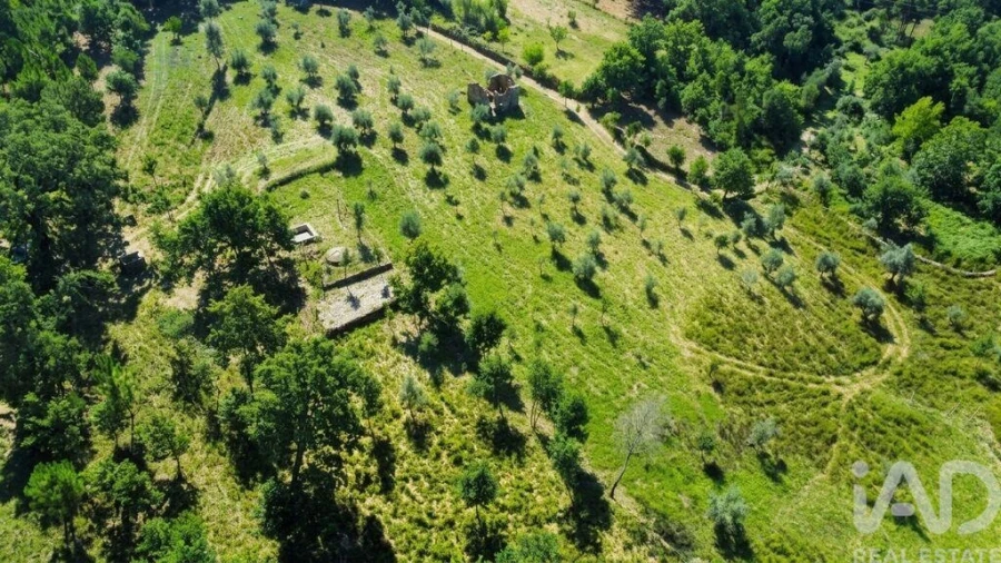 Quinta para Venda em Graça Foto 29