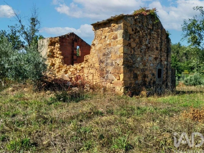 Quinta para Venda em Graça Foto 8