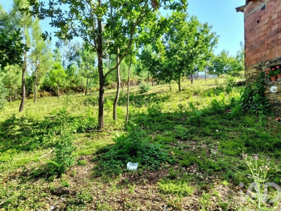 Quinta para Venda em Graça Foto 14