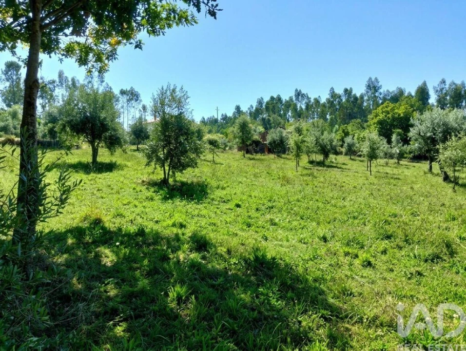 Quinta para Venda em Graça Foto 22